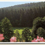 Schwarzwald_Bad Teinach