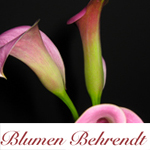 blumen-behrendt